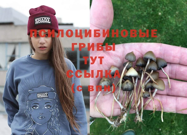 гидра Осташков