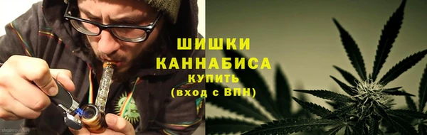 PSILOCYBIN Остров