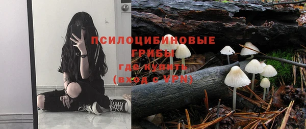 спайс Нягань